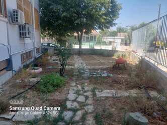 ο σχολικός λαχανόκηπος