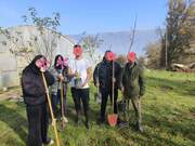 Έτοιμοι για δεντροφύτευση
