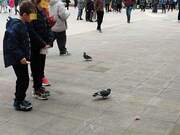 Μαθητές και περιστέρια τρώνε στο διάλειμμα 