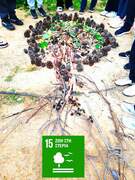 Art Land -Μαθητική Εβδομάδα Δράσης