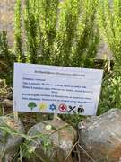 Παράδειγμα ταμπέλας με αναγραφή αναγκών του φυτού 