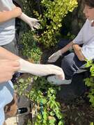 Καθαρίζοντας και Προετοιμάζοντας τα παρτέρια μας!