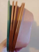 ΔΟΧΕΙΑ ΦΑΓΗΤΟΥ ΓΙΑ ΓΛΑΣΤΡΑΚΙΑ