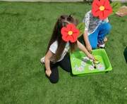 Οι μέλισσες μαζεύουν τη γύρη από τα λουλούδια