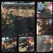 ΔΗΜΙΟΥΡΓΙΑ ΚΗΠΟΥ