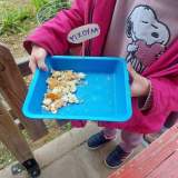 Τα ψίχουλα συγκεντρώνονται καθημερινά και γίνονται τροφή για τα πουλιά.