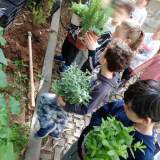 ΤΑ ΠΑΙΔΙΑ ΜΕ ΤΑ ΒΟΤΑΝΑ