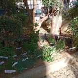 ΟΝΟΜΑΤΑ ΒΟΤΑΝΩΝ