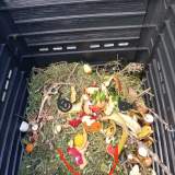 Ο αχόρταγος κομποστοποιητής μας