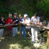 ΑΙΣΘΗΤΙΚΟ ΔΑΣΟΣ ΤΟΥ ΥΜΗΤΤΟΥ