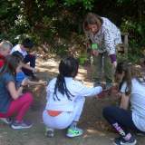 ΑΙΣΘΗΤΙΚΟ ΔΑΣΟΣ ΤΟΥ ΥΜΗΤΤΟΥ