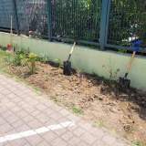 Οι νέοι μας φίλοι, τα φυτά