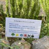 Παράδειγμα ταμπέλας με αναγραφή αναγκών του φυτού 