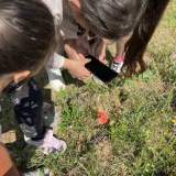 Αξιοποιώντας ψηφιακή εφαρμογή για την αναγνώριση των φυτών