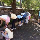 Συμπλήρωση και τοποθέτηση χώματος για την φύτευση νέων φυτών