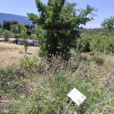 Χώρος του κήπου