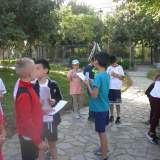 ΥΙΟΘΕΣΙΑ ΔΕΝΤΡΟΥ ΣΤΗΝ ΠΛΑΤΕΙΑ ΠΛΥΤΑ 6