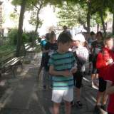 ΥΙΟΘΕΣΙΑ ΔΕΝΤΡΟΥ ΣΤΗΝ ΠΛΑΤΕΙΑ ΠΛΥΤΑ 4