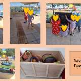 ΖΩΓΡΑΦΙΚΗ- ΖΩΓΡΑΦΙΚΗ