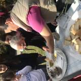 Δοκιμή φρέσκου ελαιόλαδου και ελιάς συνοδευόμενου από χωριάτικο ψωμί, 