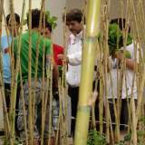 Ο Λαχανόκηπος του σχολείου μας