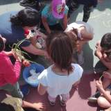 Η ενημέρωση των παιδιών για τους κανόνες της οικολογικής σκυταλοδρομίας.