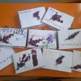 ΚΟΥΤΣΟΥΠΙΑ