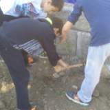 Σκάλισμα του χώματος ώστε να γίνεται εύκολα το πότισμα