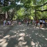 Γνωρίζω και Προστατεύω το Δάσος Παίζοντας